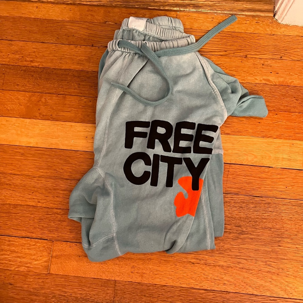 Free City sweatpants- BARLY WORN, Like New condition
